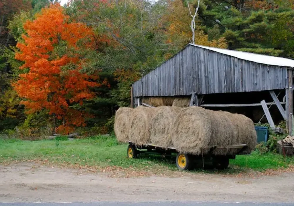 2845a414-7be2-4fa9-abb5-7be9ef486cda-W768