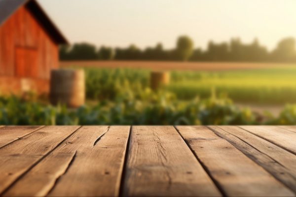 how to sell your busines in iowa